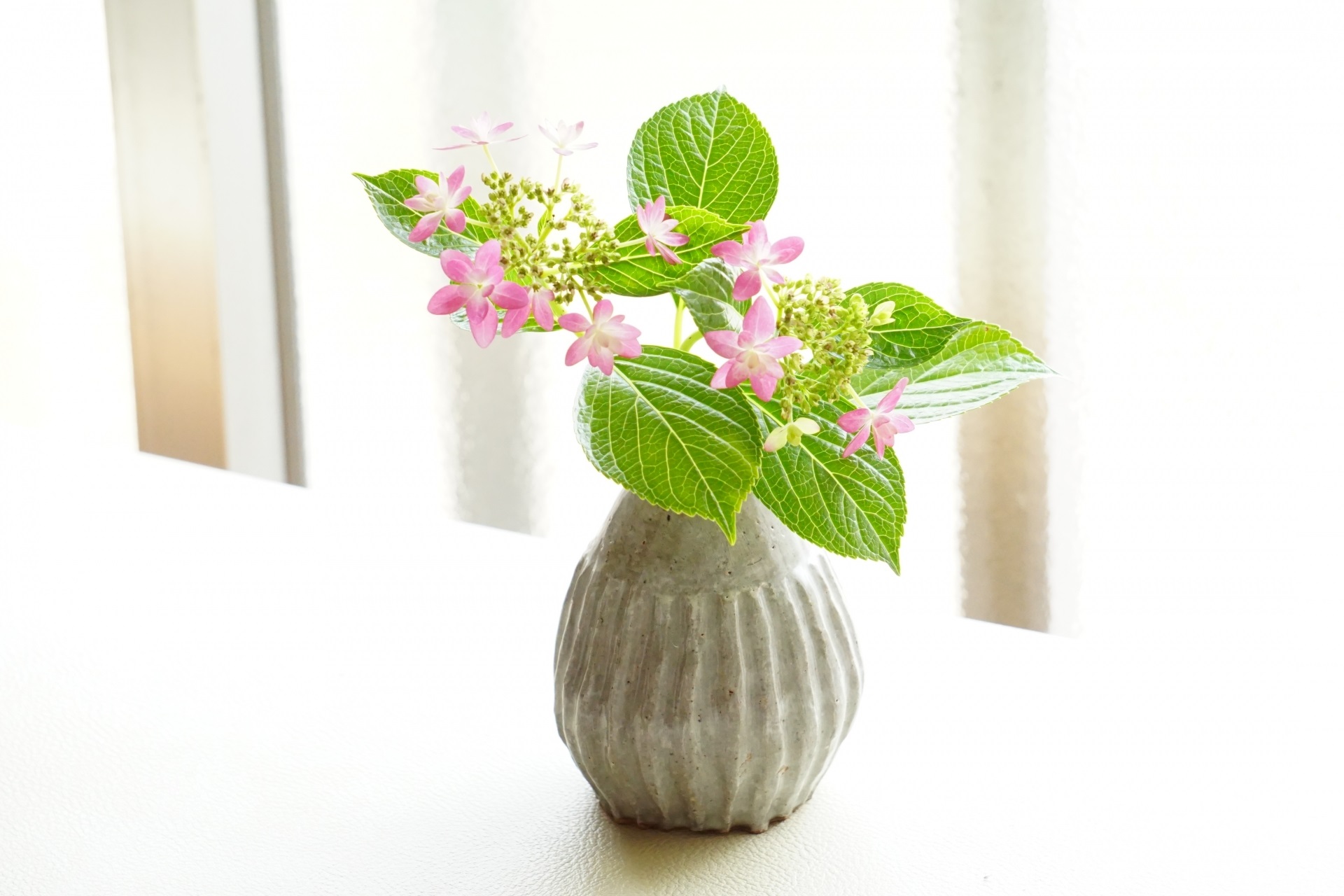 アジサイが飾られた花瓶